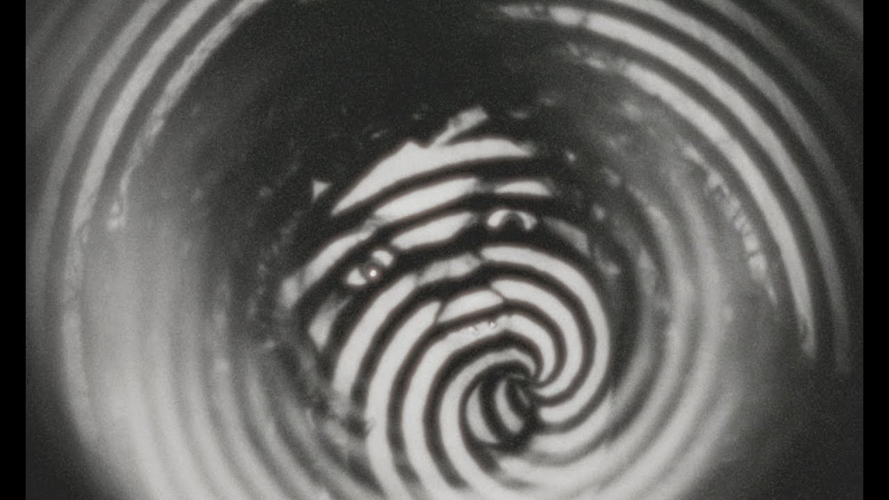 She's In Parties - Are You Dreaming? (Official Video)