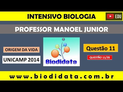 Vídeo: Médicos nomearam o diagnóstico exato de Bilan, o que ameaça sua vida