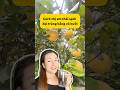 Chị em muốn sạch đại tràng chỉ cần vỏ bưởi và 2 thứ này#songkhoe #songkhoe #thaidocdaitrang #thavita
