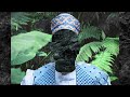 Clap! Clap! - Kaluma (Black Acre)
