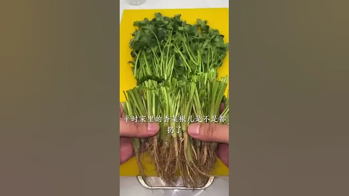#水培蔬菜 #水培香菜 #冬季儲藏香菜小妙招 - 天天要聞