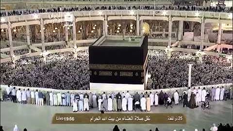 الشيخ ماهر المعيقلي l تلاوة مؤثرة من وجاءت سكرة الموت بالحق ذو القعدة 1434هـ