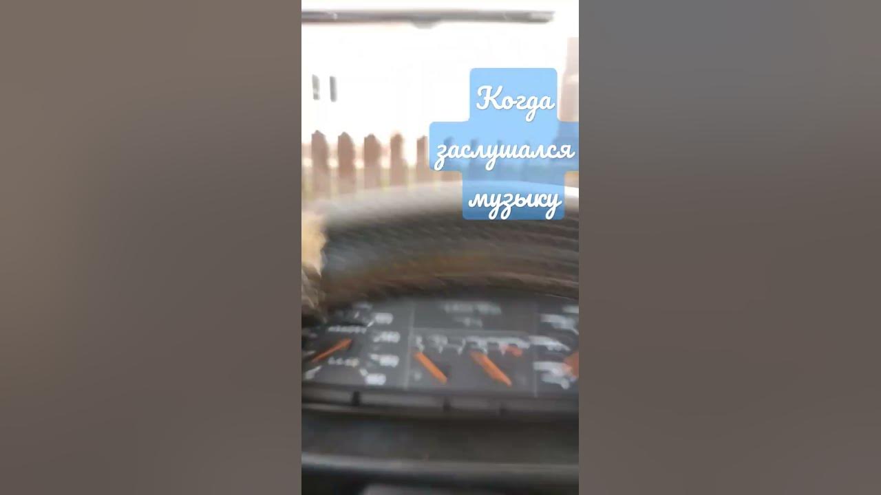 гонщик нелегальный - YouTube
