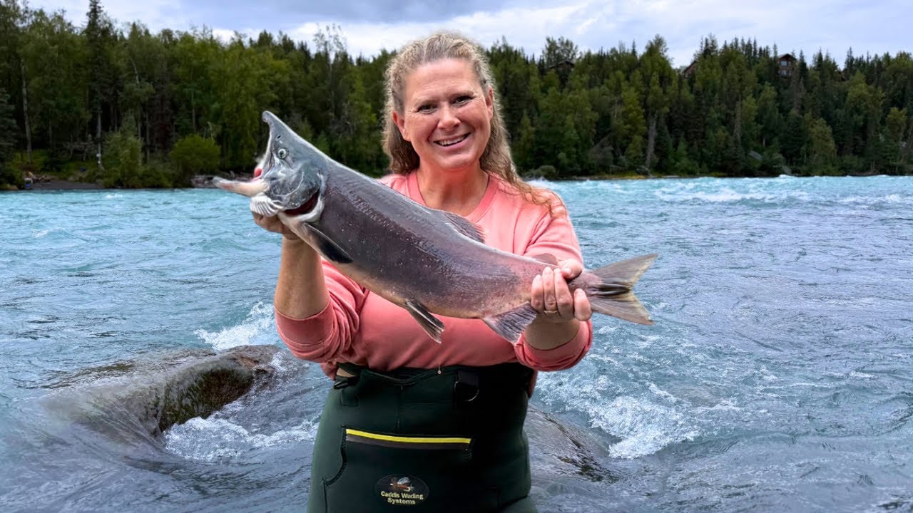 Red Fish In Alaska Kenai River Red (Sockeye) Salmon! Alaska Subsistence Fishing & Salmon ...