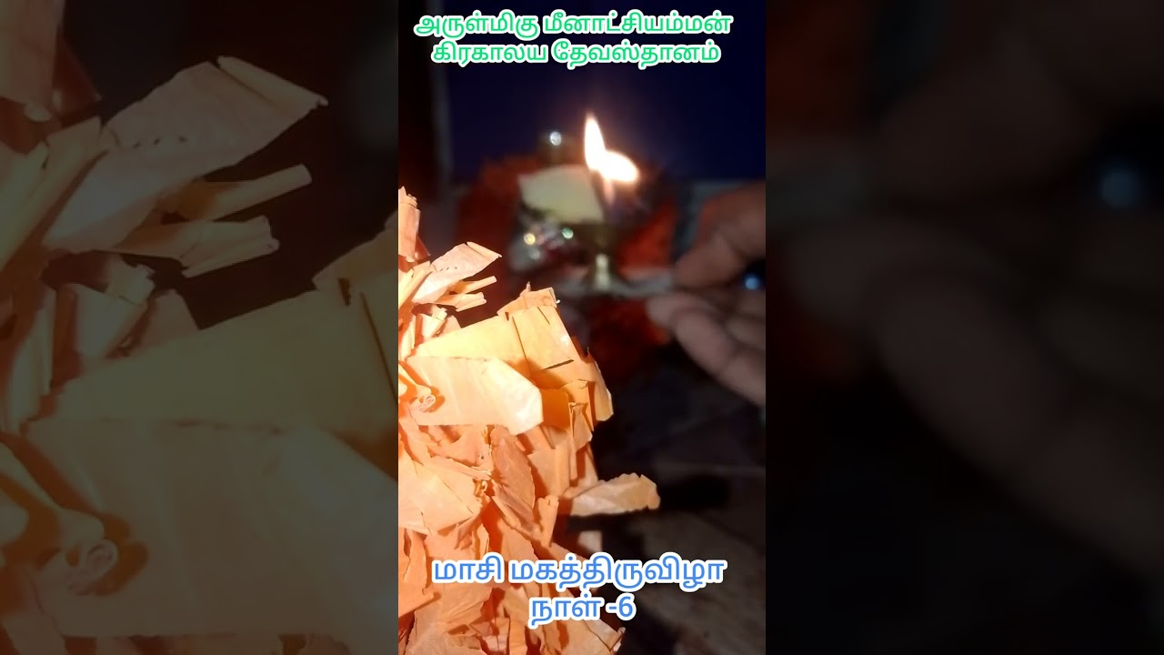 Day-6 (20.2.24) Masi magaurchavam ♥️ 6ம் திருநாள் யானை ஹம்ச வாகனம் 