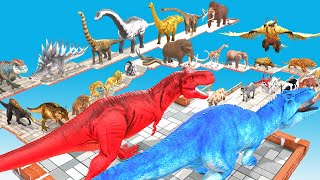 EPIC GIGA T-REX DEATHRUN The Toughest of All Animals Dinosaurs Fight Animal Revolt Battle Simulator by Animal Doodle TV 1,040,472 views 2 months ago 9 minutes, 21 seconds