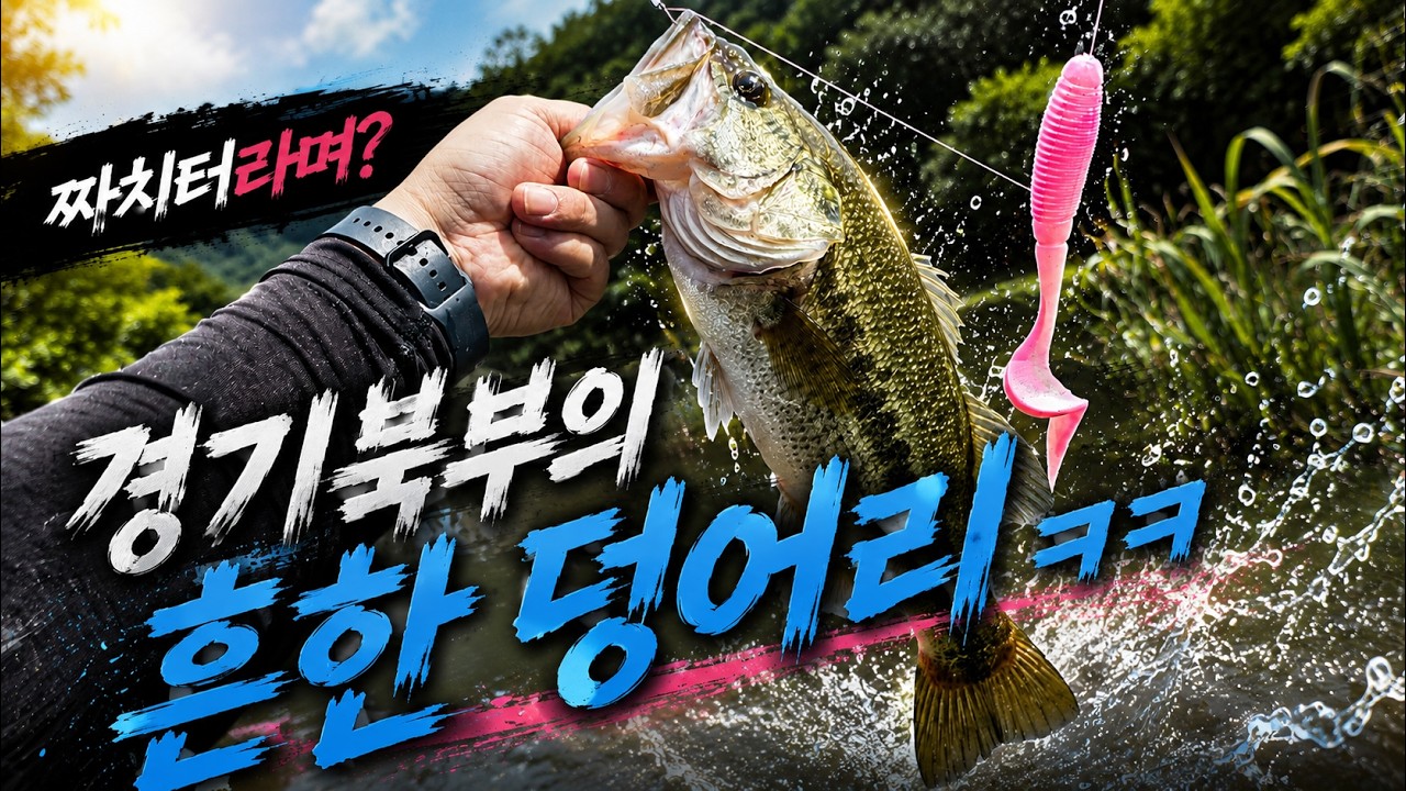 경기 북부의 흔한 덩어리ㅋㅋ – 배스 낚시 포인트