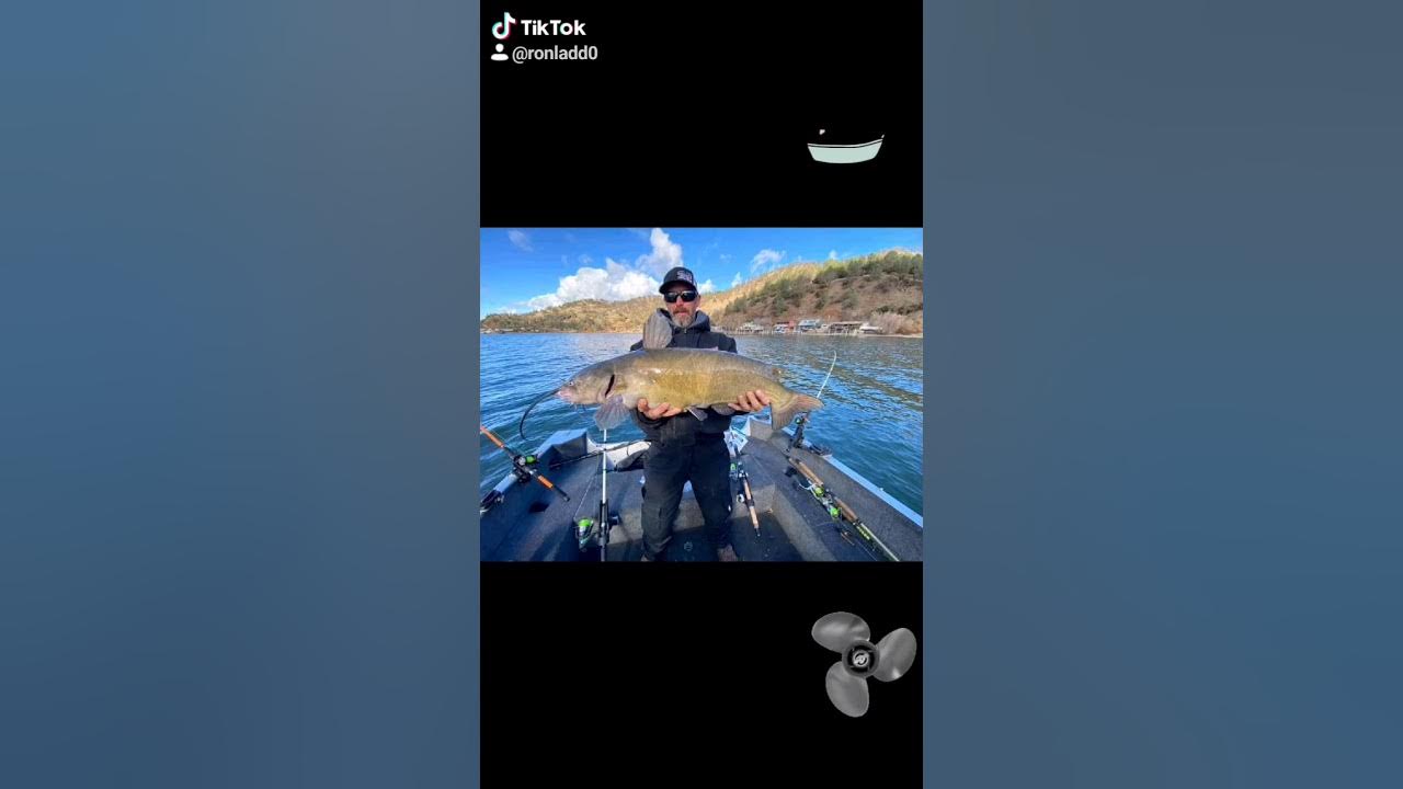 catfishing clear lake YouTube