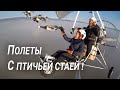 ПОЛЕТЫ С ПТИЧЬЕЙ СТАЕЙ!