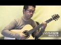 いのちの記憶（acoustic guitar solo）