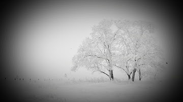 Part of Surah Al-Anbiya| جزء من سورة الأنبياء- من أجمل تلاوات القارئ إسلام صبحي