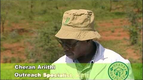 Shamba Shape Up - Ploughing