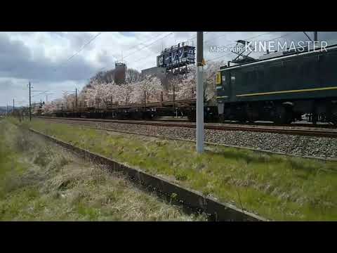 鉄道pv   月に叢雲華に風