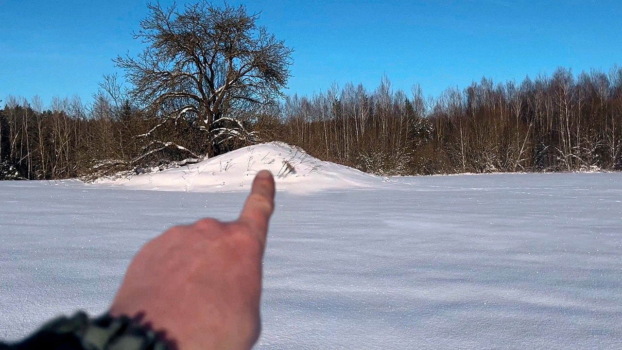SECRET BUNKER-STASH Metal Detecting — What's Inside?