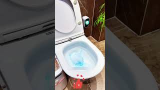 Disposable Toilet Brush Set with Replaceable Heads (Built-in Cleaner No-Drill Holder) ⚙️📋🧽