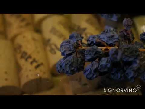 Signorvino&Speri: Amarone della Valpolicella Classico