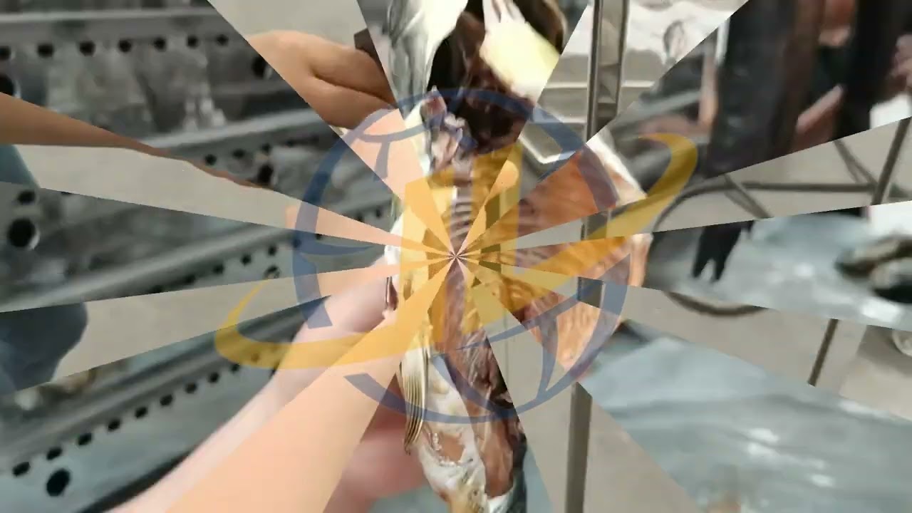 Dried Fish Drying Site