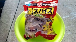 鯉釣りで使う餌おすすめランキング7選 市販物から自然の物まで Bass Zero