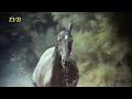 Black Beauty Theme Galloping Home London String Chorale 1974 Denis King Blackbeautytv NEW 