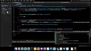 macOS Development with AppKit - 52 - Allowing Selections in a Collection View