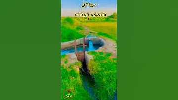 آيات من سورة النور بصوت القارئ عبدالرحمن العبدالقادر