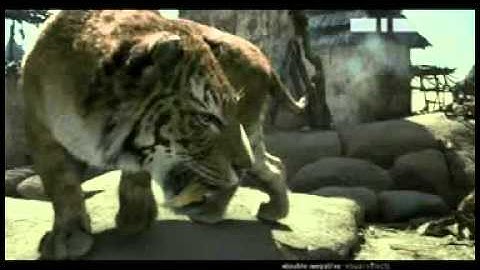 QPAS -Quadruped Path Animation System