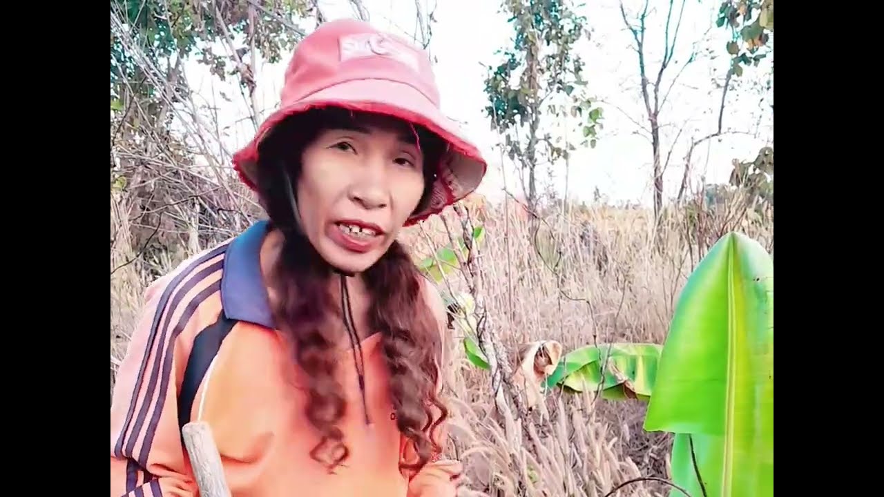 ขุดมันมือเสือหรือมันเพิ่ม