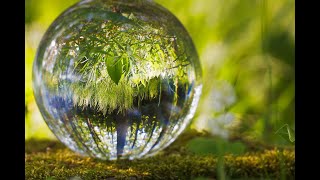 The Influence of Environment on Motivation and Creativity