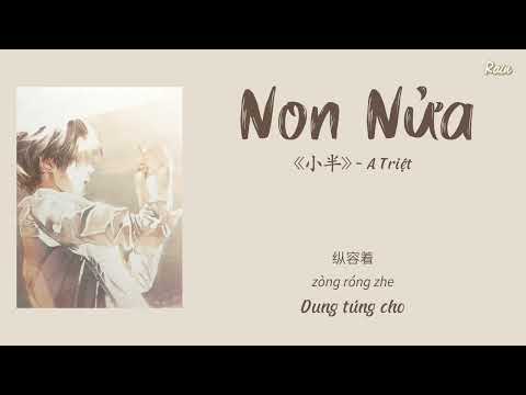 [Vietsub+Pinyin] Non nửa (Bản R&B) - A Triệt || 小半 (R&B版) - 啊澈