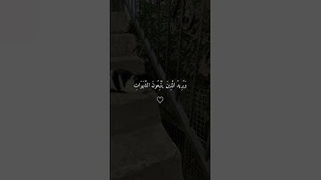اكتب شيء تؤجر عليه قرآن كريم/محمد اللحيدان #explore