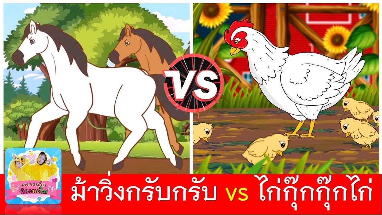 ม้าวิ่งกรับกรับ vs ไก่กุ๊กกุ๊กไก่