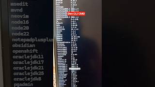 How to install software from Dev CLI command line interface