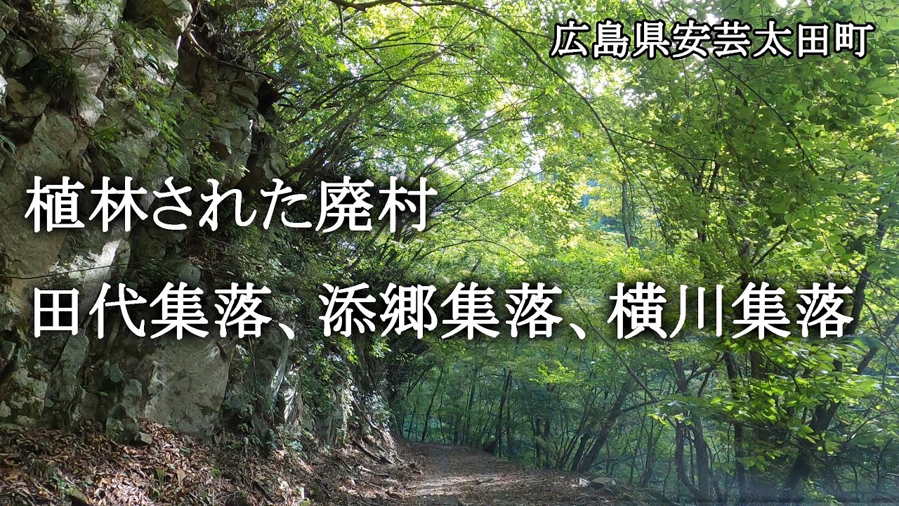 広島県安芸太田町　植林された廃村、田代集落、添郷集落、横川集落