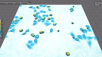 Book your personal Live Cell Demo and try out Live Cell Imaging yourself | HoloMonitor®