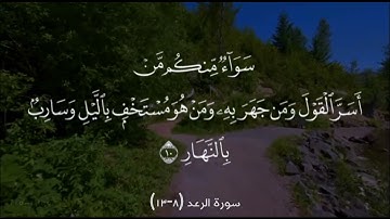 سورة الرعد (8-13)