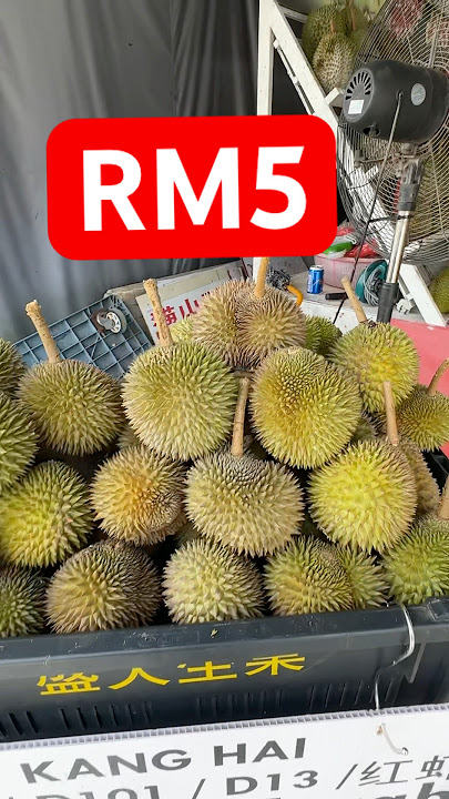 The Most Popular Durian Store in ss2 便宜榴莲 #durian