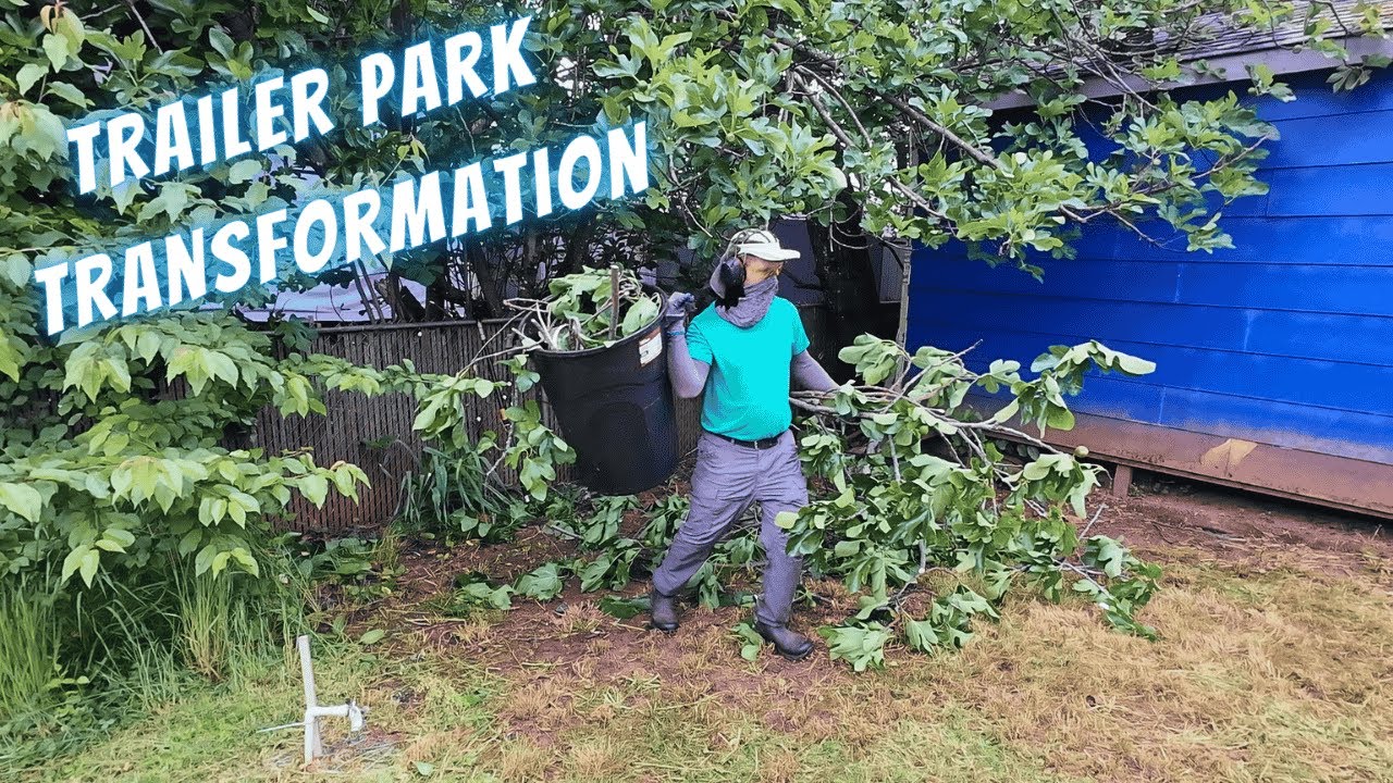 This Overgrown Yard Gets a Huge Makeover!