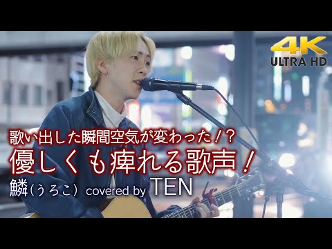 【 歌うま 】 歌い出した瞬間に空気が変わった！?  優しくも痺れる歌声！鱗 / 秦基博（cover）" TEN " 新宿路上ライブ 4K映像