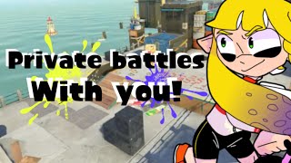 splatoon 3 private battles with YOU