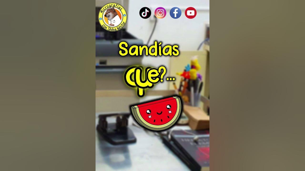 Ancho de Distribución Eritrocitaria ADE hematology hematologia YouTube Ancho de Distribución Eritrocitaria ADE hematology hematologia YouTube