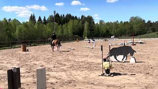 Working Equitation, WE, Speed LB:1