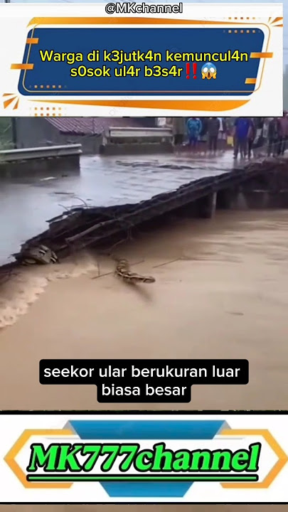 warg4 di k3jutk4n s0sok ul4r b3s4r‼️😱#viral #video #horror #shorts