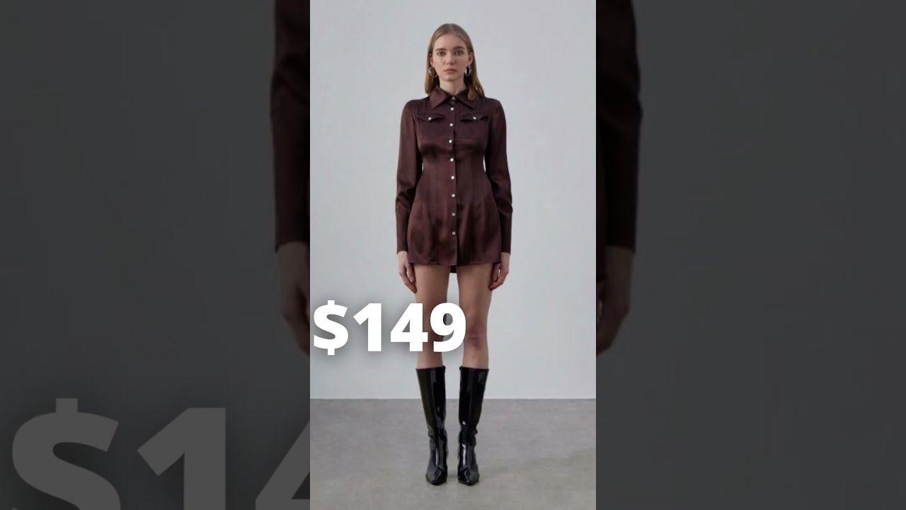 Fitted Silk Shirt Dress | 