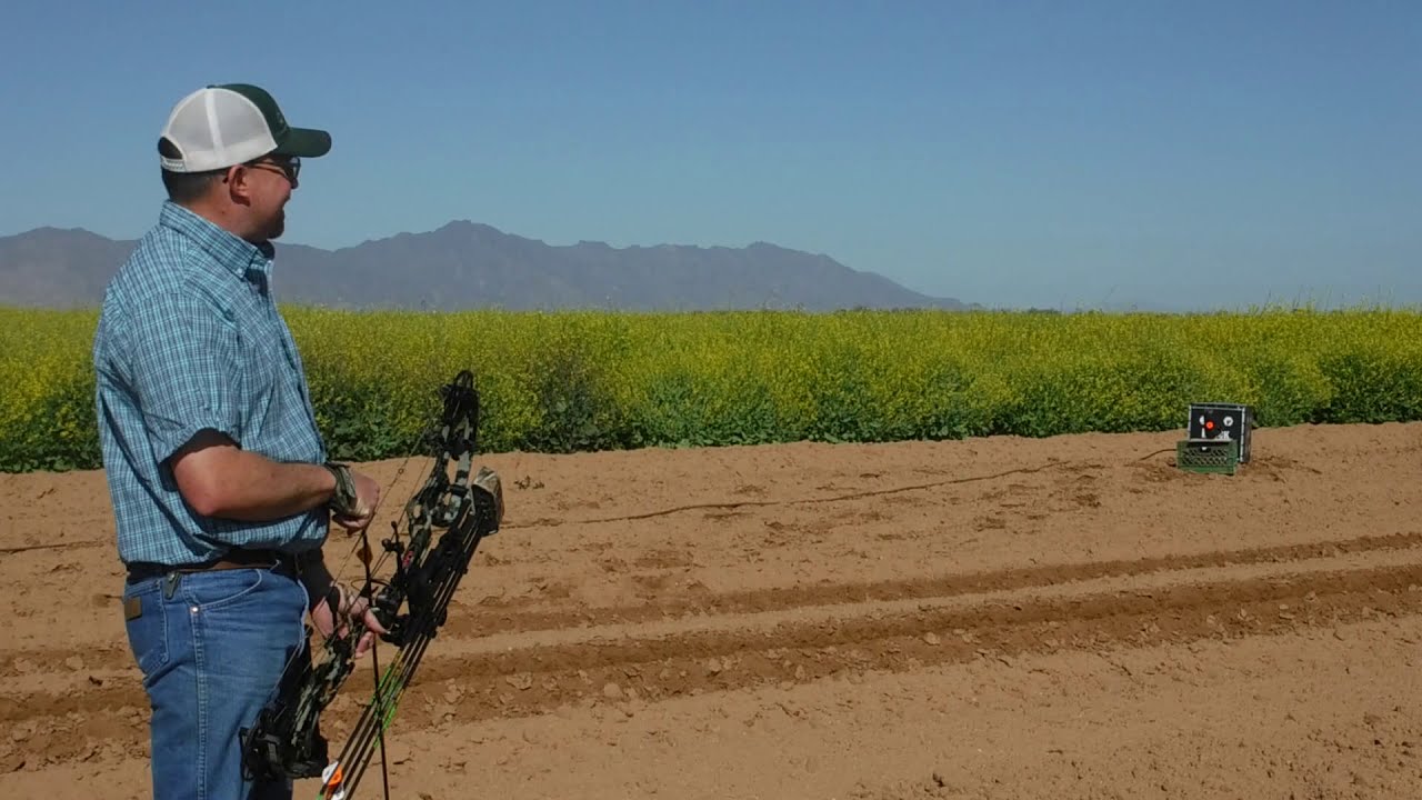 Archery Gender Reveal 2020 YouTube