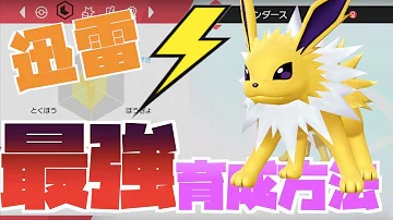 ポケモン剣盾 ブラッキー育成論 ランクマ用極悪な作り方 努力値振り技構成育成論入手方法 ポケモンソードシールド 夢特性イーブイ Mp3
