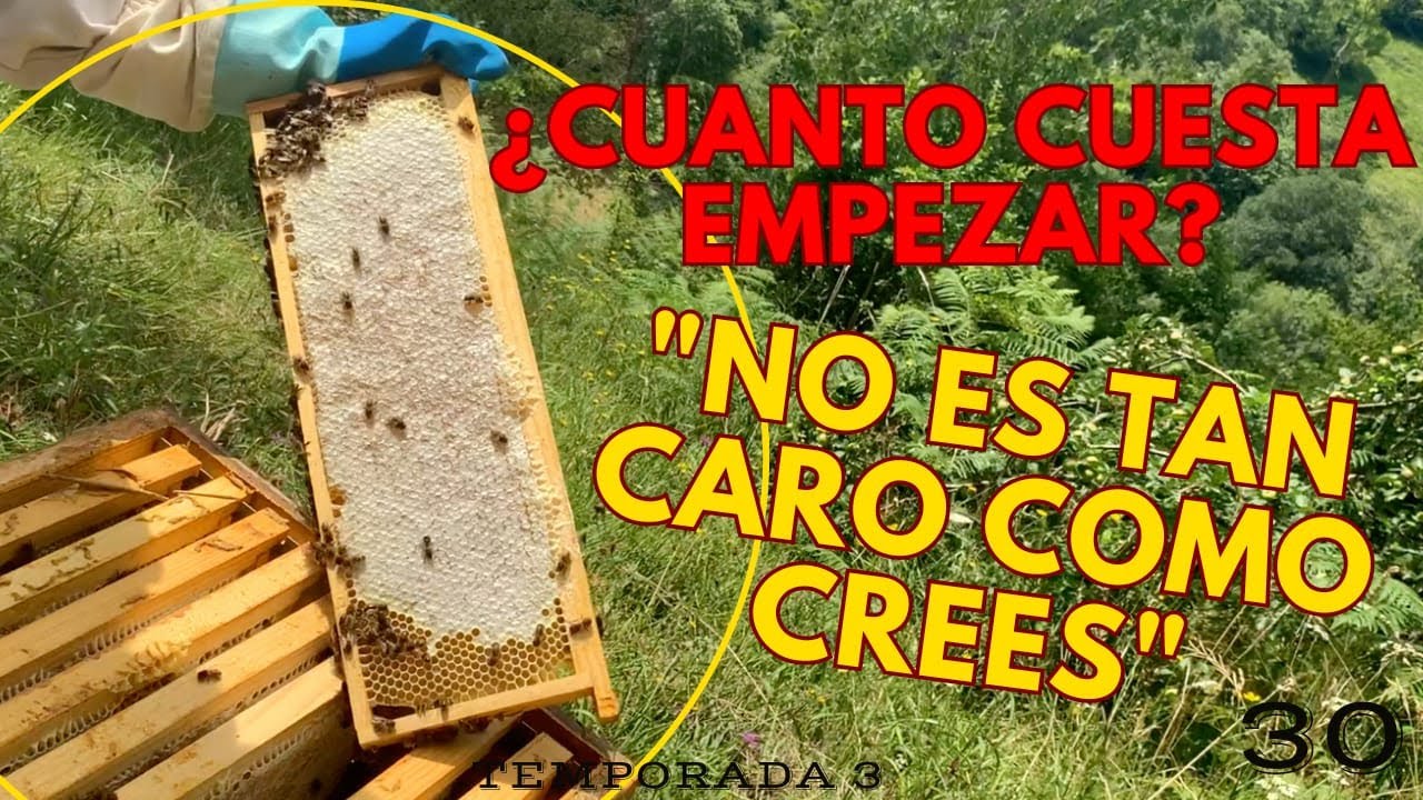 CUANTO CUESTA empezar en APICULTURA 🧐 "es un mundillo precioso para empezar"