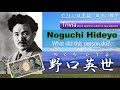 Japanese trivia in simple japanese noguchi hideyo