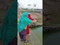 mini vlog #shortvideo #desifood #minivideos #trendingvideos #viralvideo