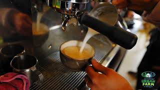 The Dancing Goat Cafe At Carrickfergus Urban Farm