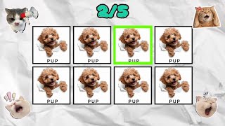 SAY THE WORD ON BEAT CHALLANGE | Easy to very hard | Level 1-4.
